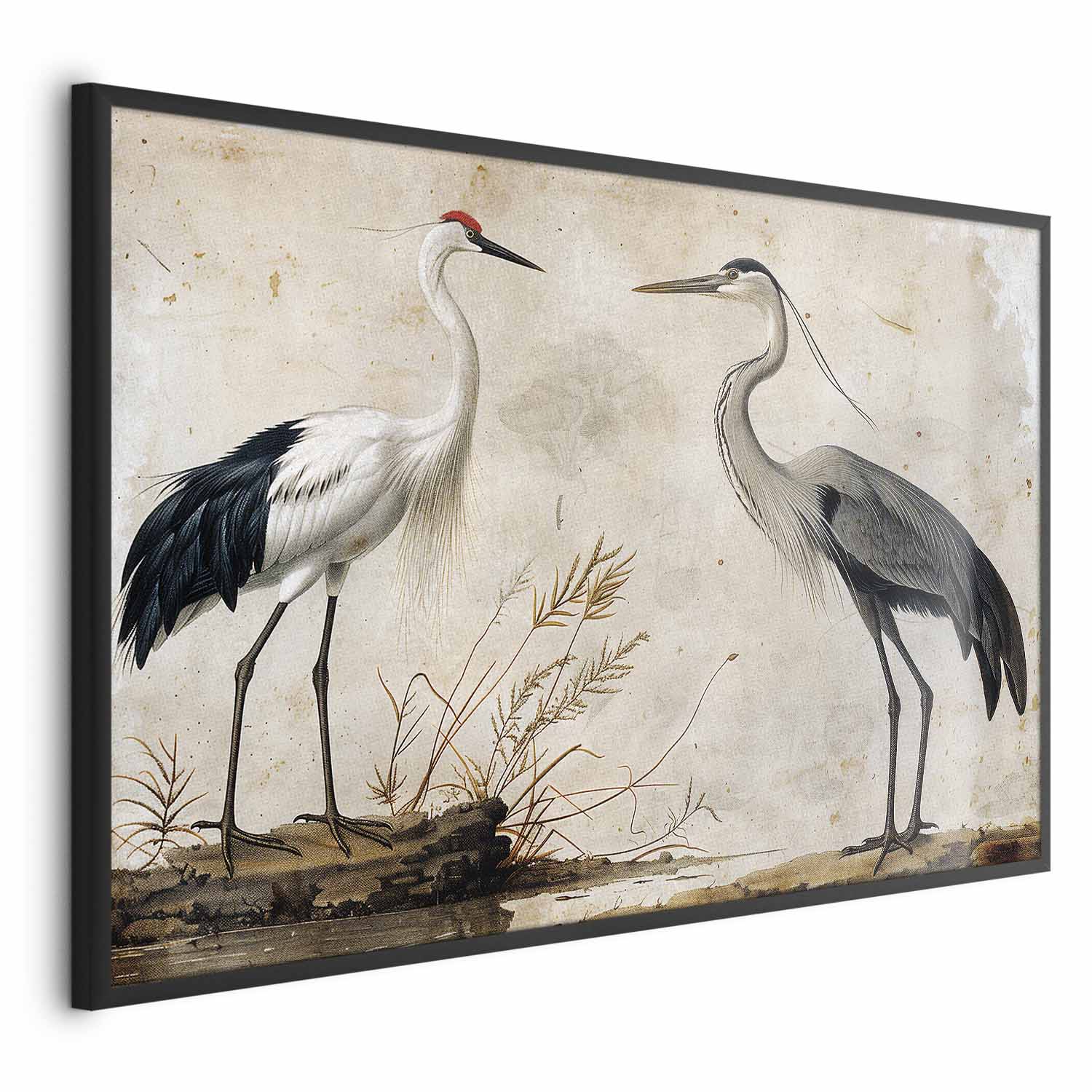Vintage Heron and Crane Illustration Poster