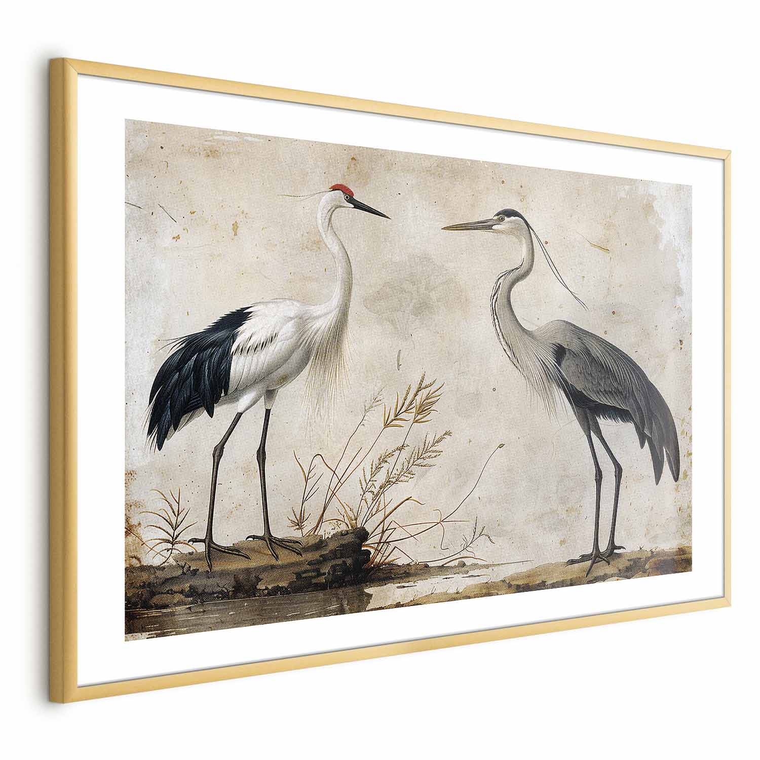 Vintage Heron and Crane Illustration Poster