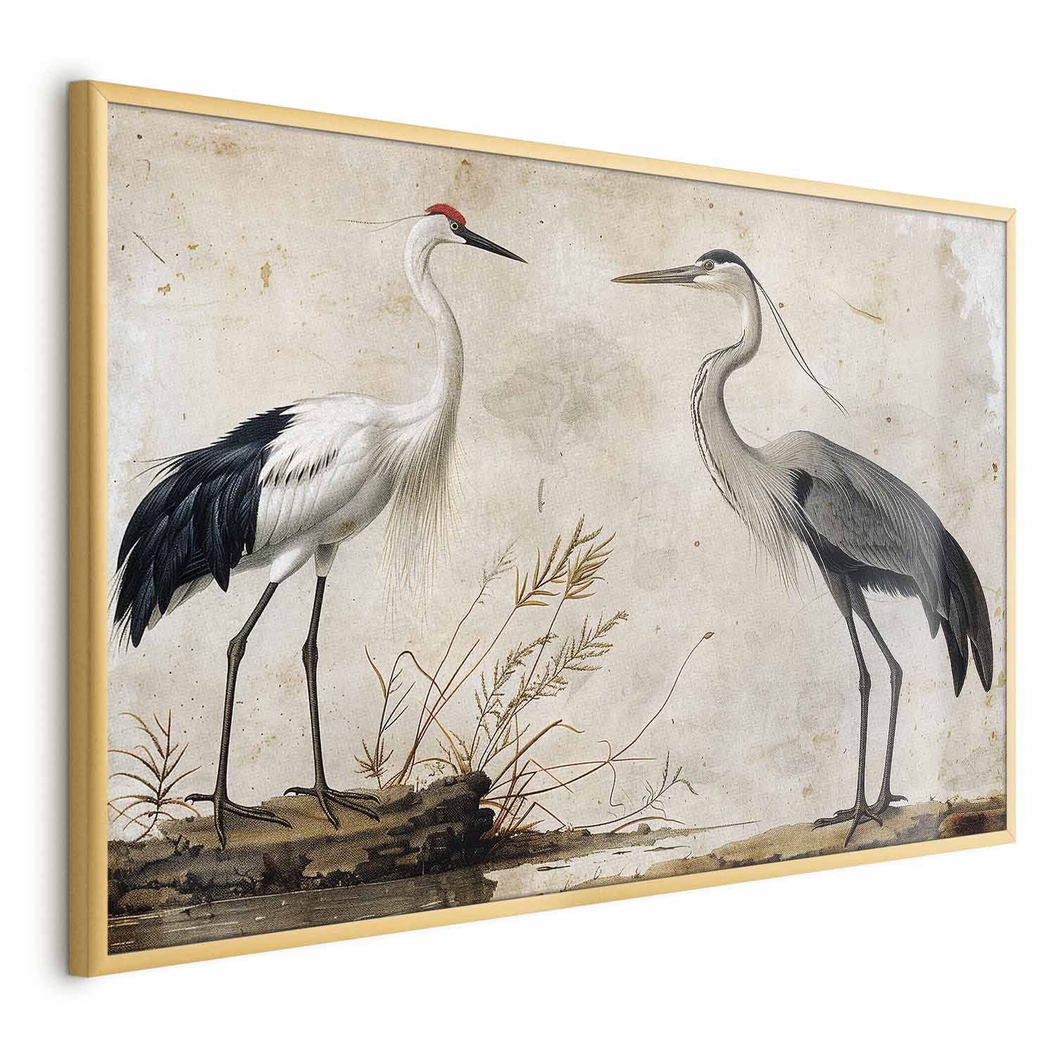 Vintage Heron and Crane Illustration Poster