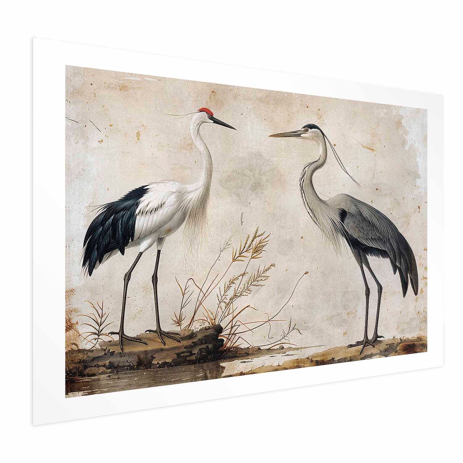Vintage Heron and Crane Illustration Poster