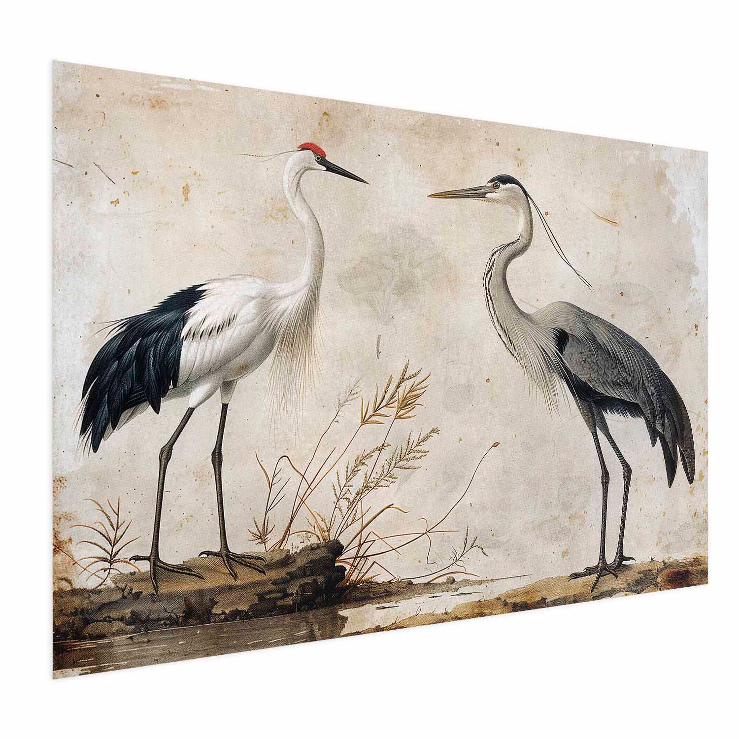 Vintage Heron and Crane Illustration Poster