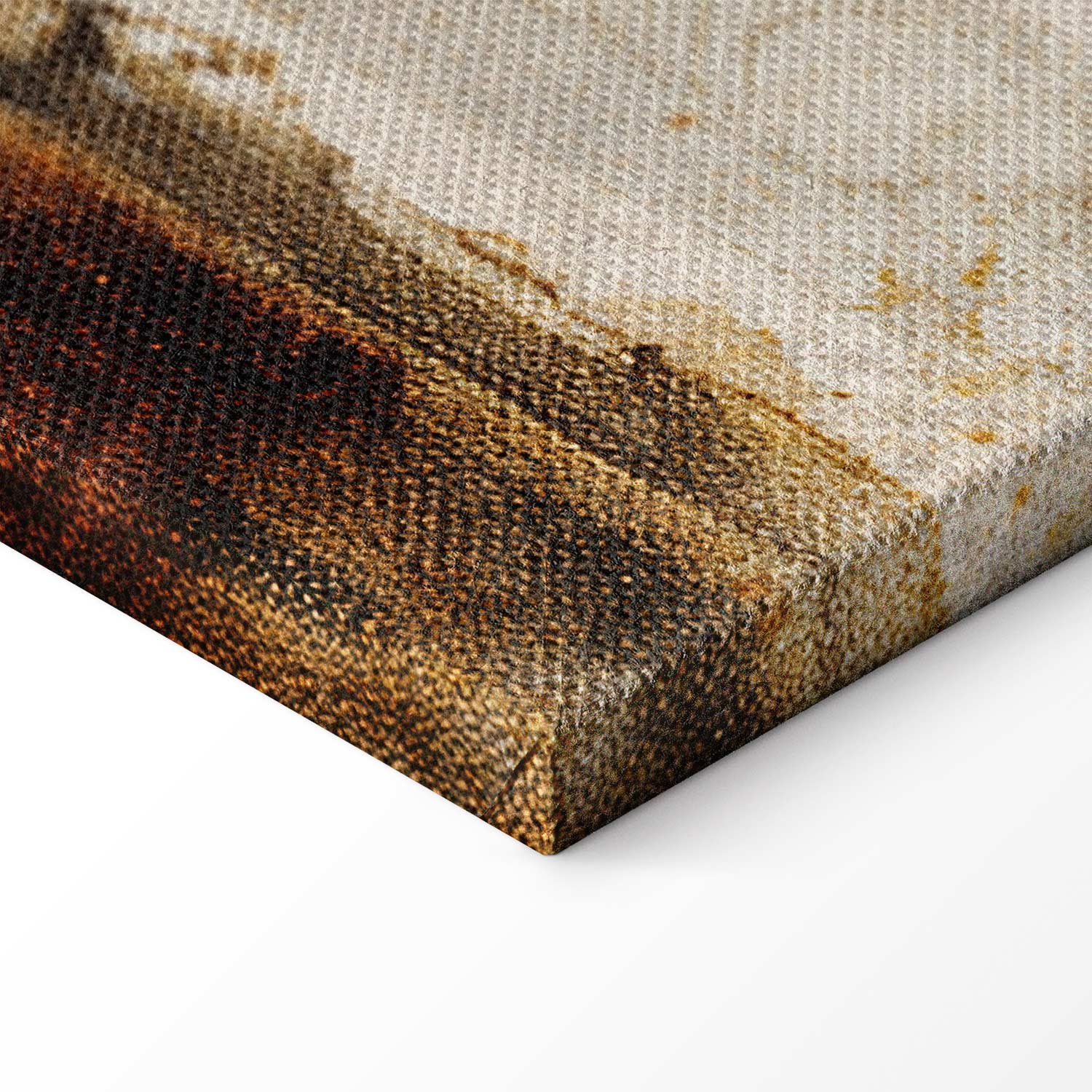 Vintage Heron and Crane Birds Canvas Print