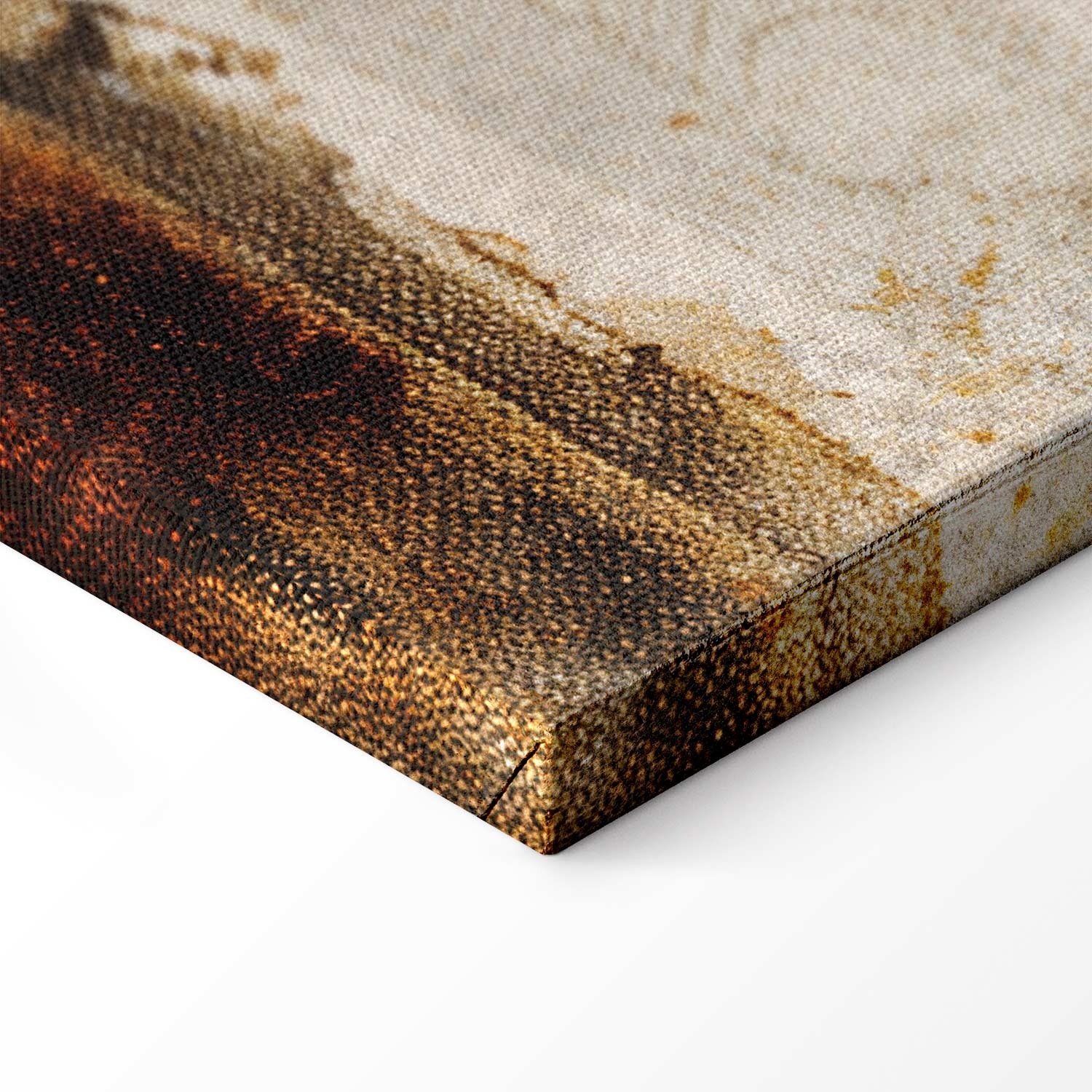 Vintage Heron and Crane Birds Canvas Print