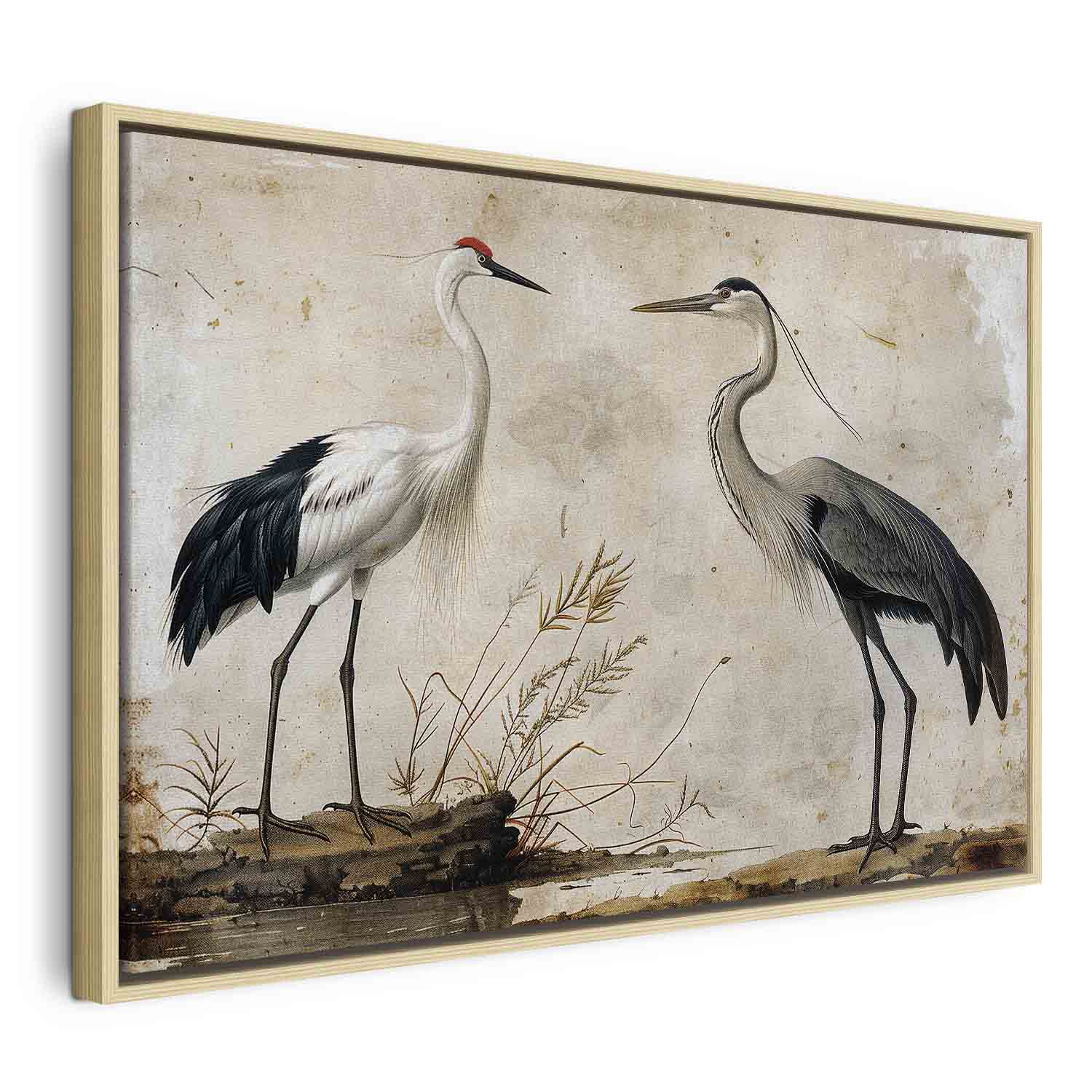 Vintage Heron and Crane Birds Canvas Print
