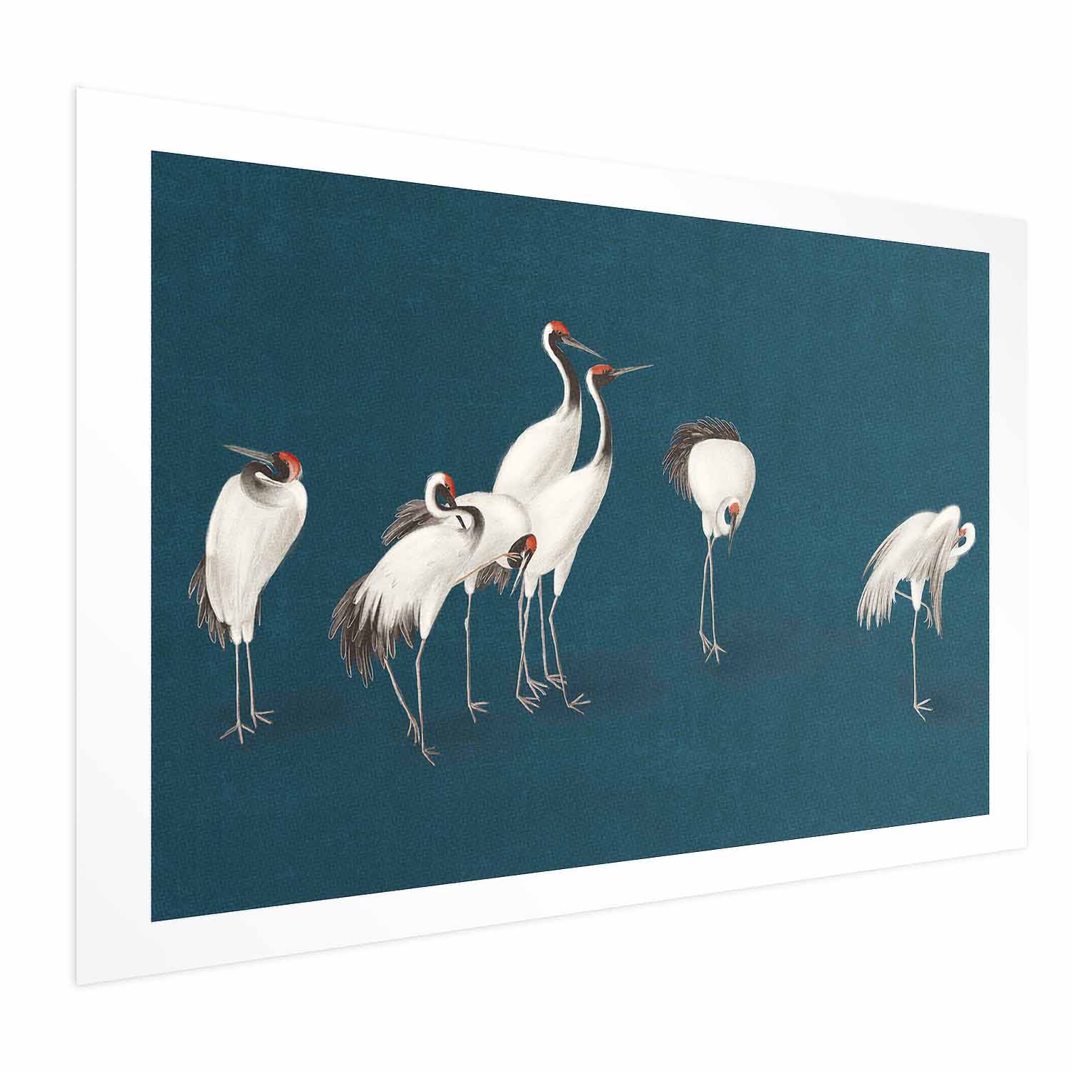 Pastel Cranes Dark Turquoise Poster