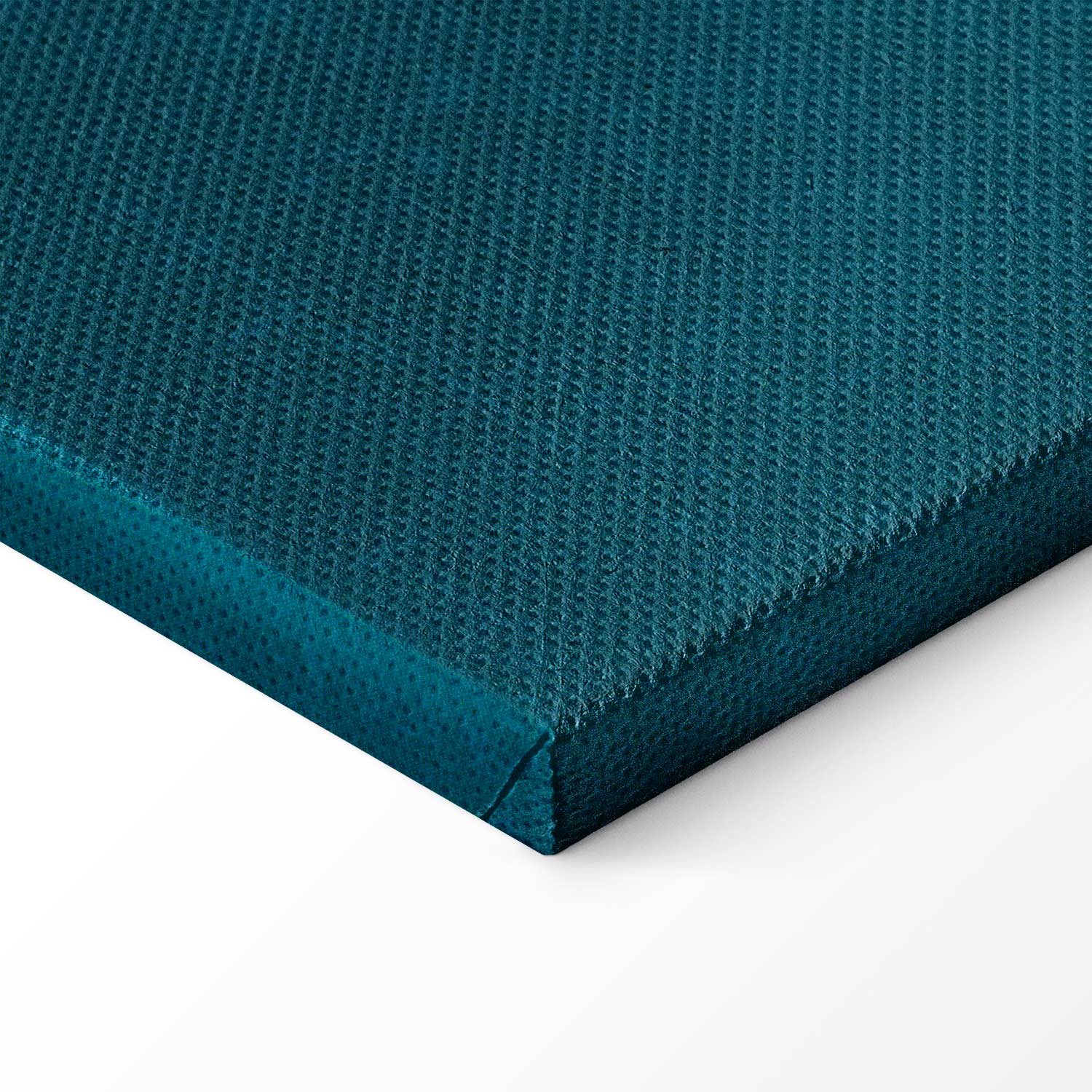 Turquoise Crane Illustration Canvas Print