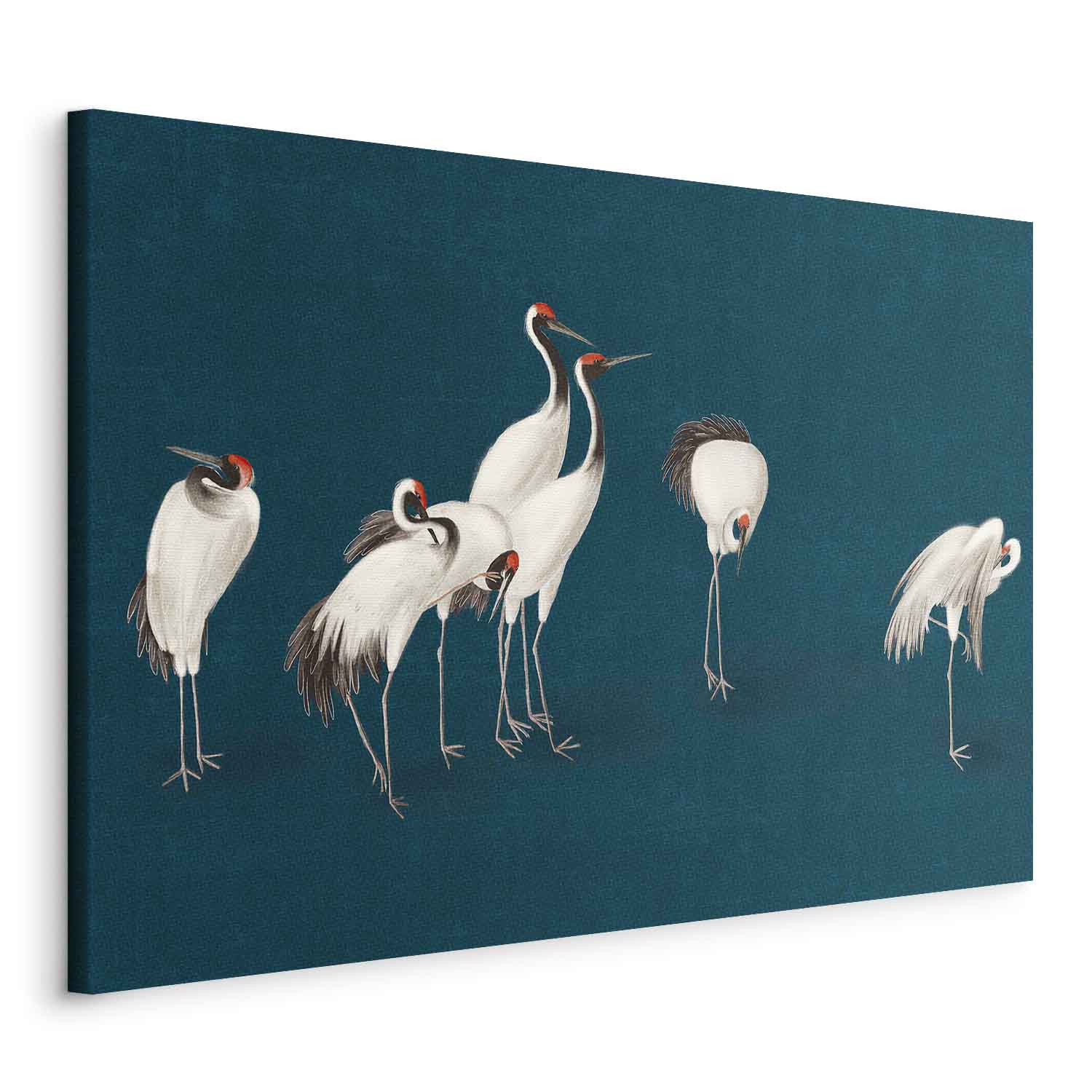 Turquoise Crane Illustration Canvas Print