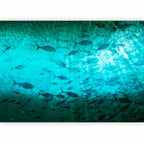 Dark Fish Shoal Japanese Wall Mural