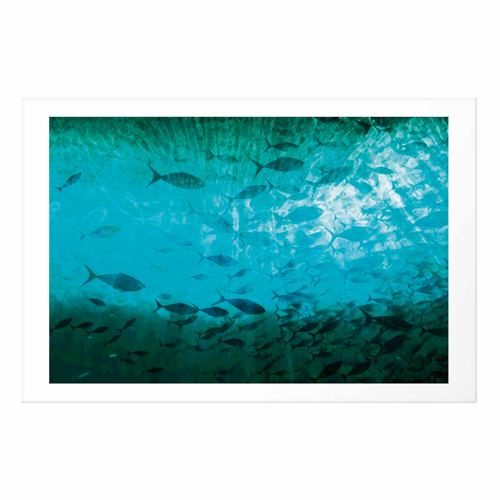 Dark Fish School Ocean Poster