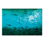 Dark Fish Shoal Japanese Canvas Print