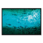 Dark Fish Shoal Japanese Canvas Print