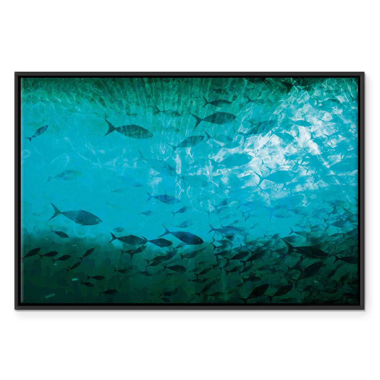 Dark Fish Shoal Japanese Canvas Print