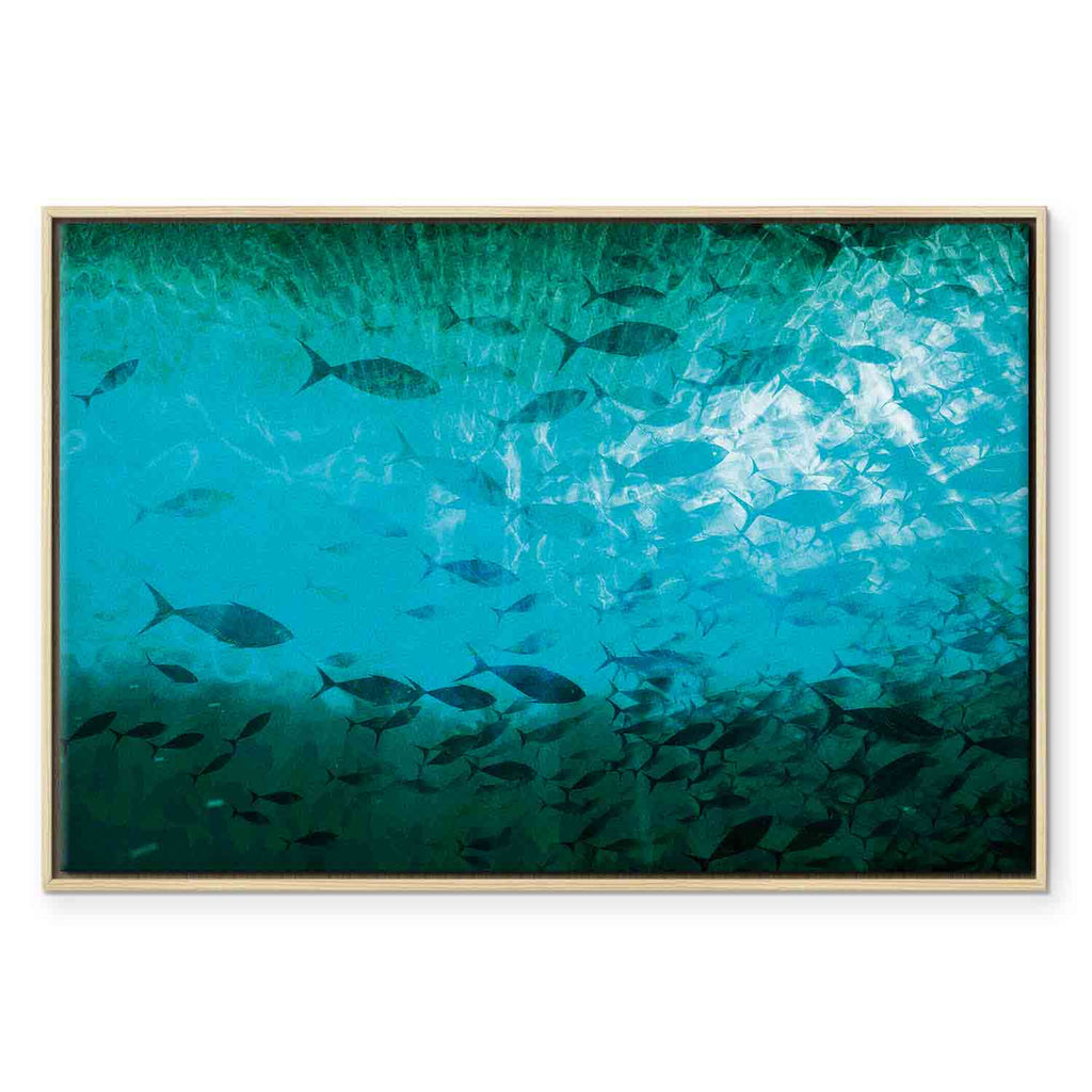 Dark Fish Shoal Japanese Canvas Print