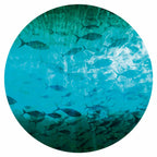 Dark Fish Shoal Japanese Round Wall Mural