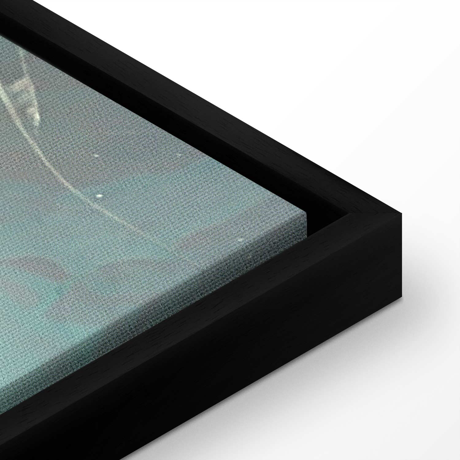 Small Fish School Japanese Canvas Print