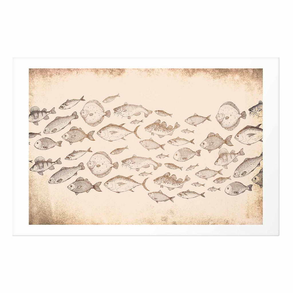 Subtle Little Fish Animals Poster
