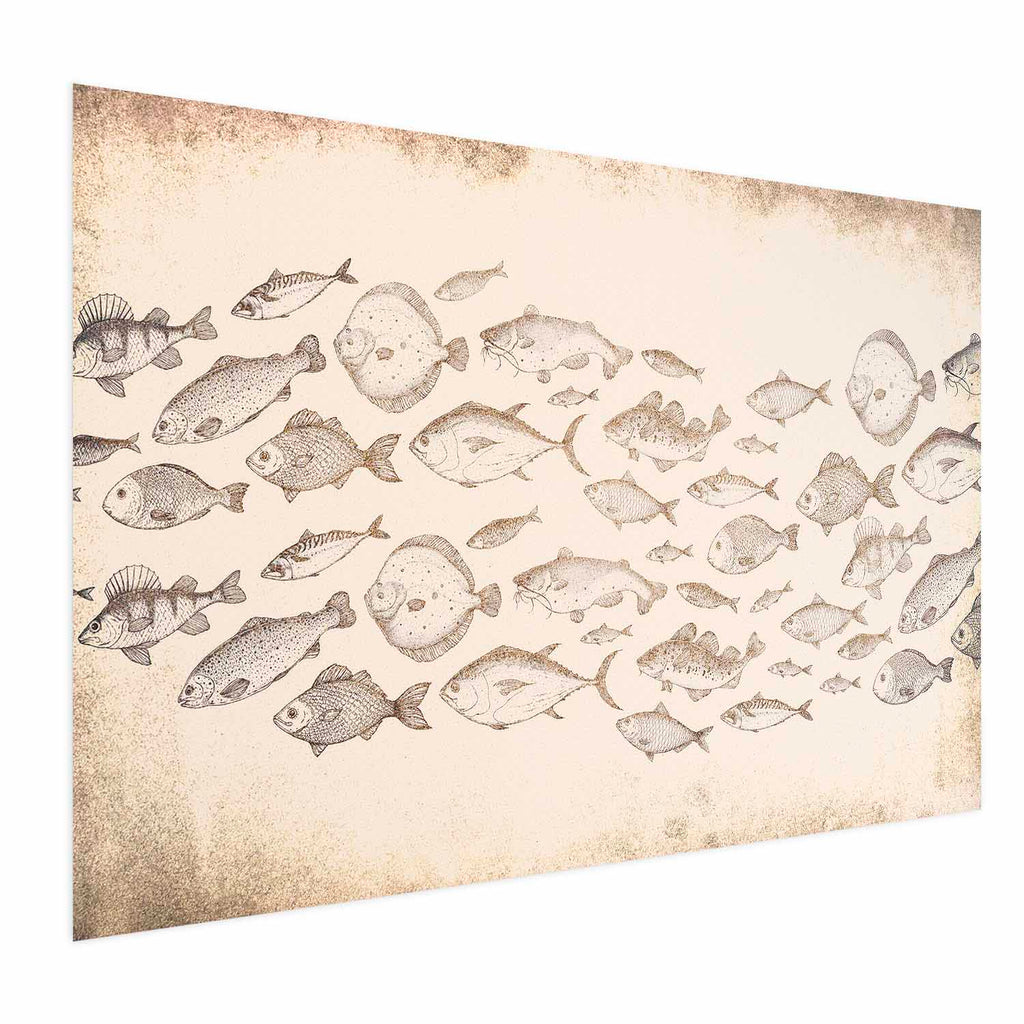 Subtle Little Fish Animals Poster