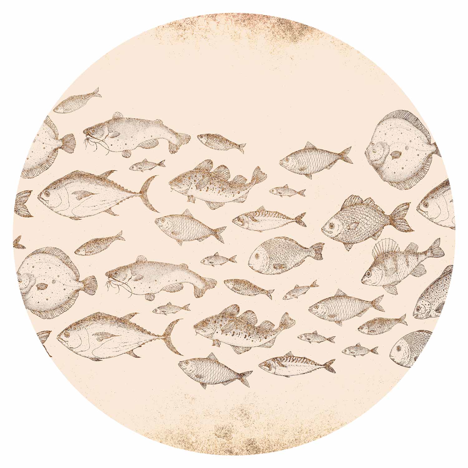 Subtle Koi Fish Japanese Round Wall Mural