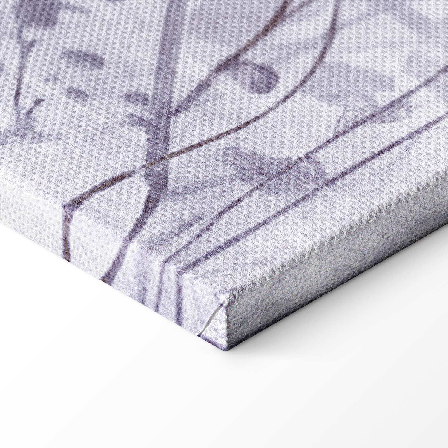 Monochrome Flying Crane Canvas Print