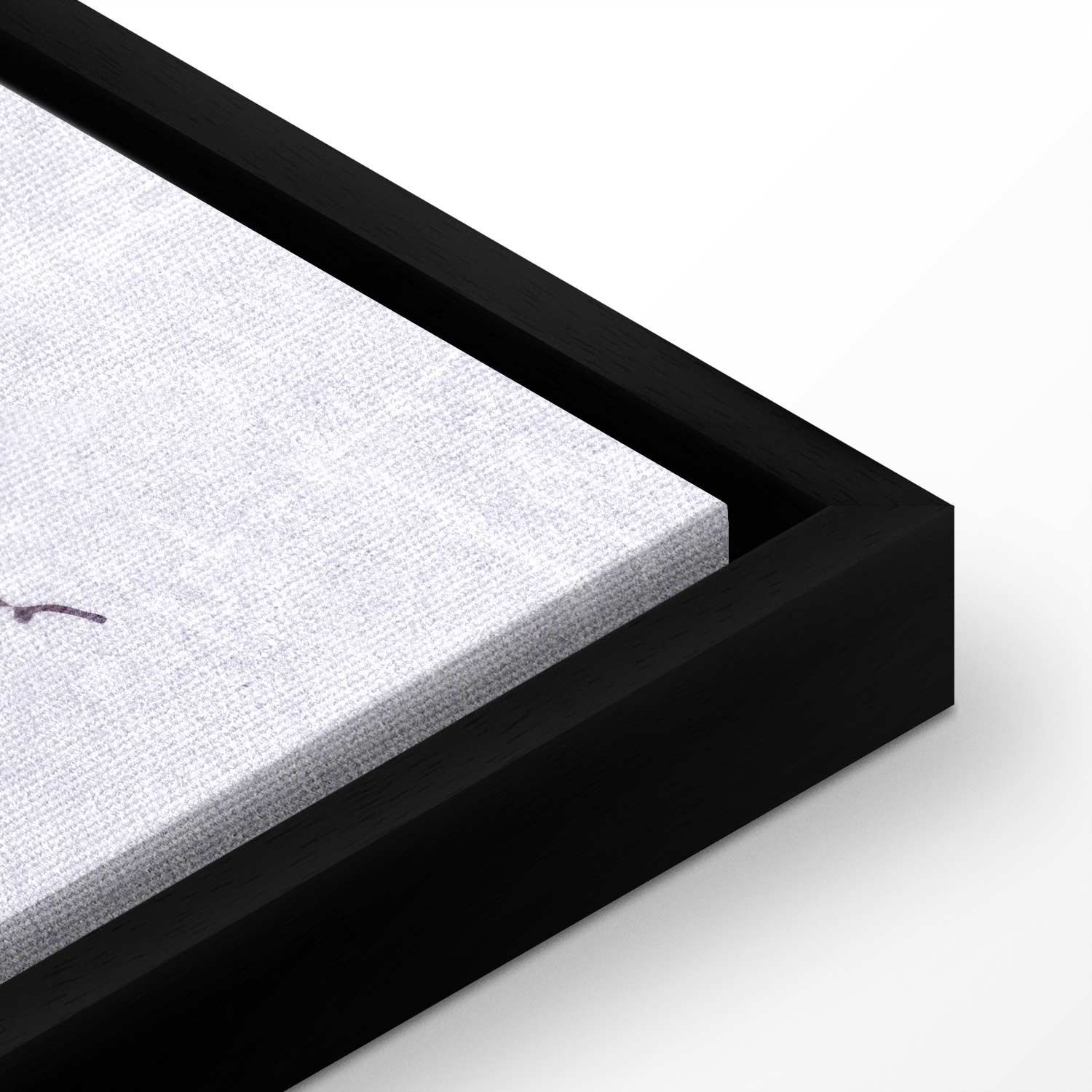 Monochrome Flying Crane Canvas Print