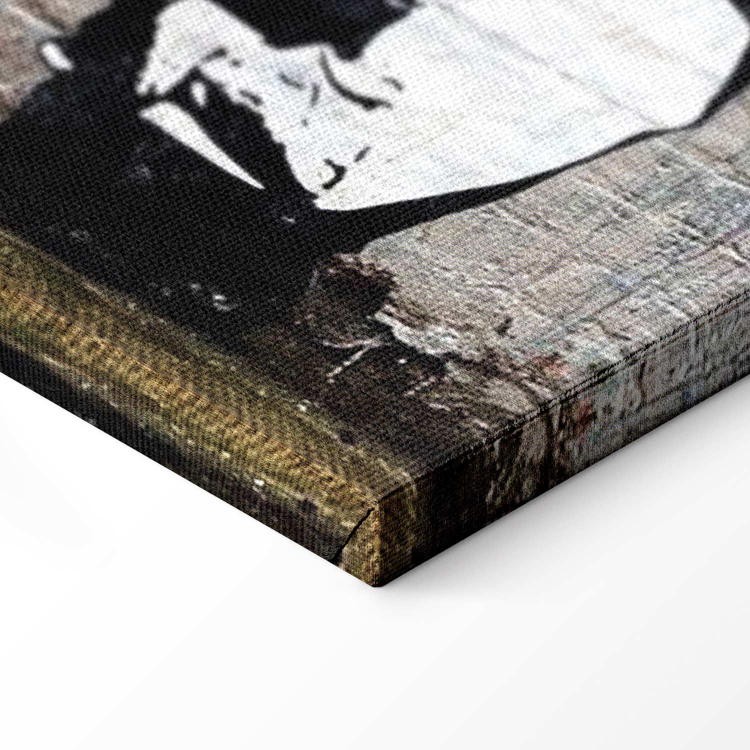 Mario and Policeman Graffiti Canvas Print