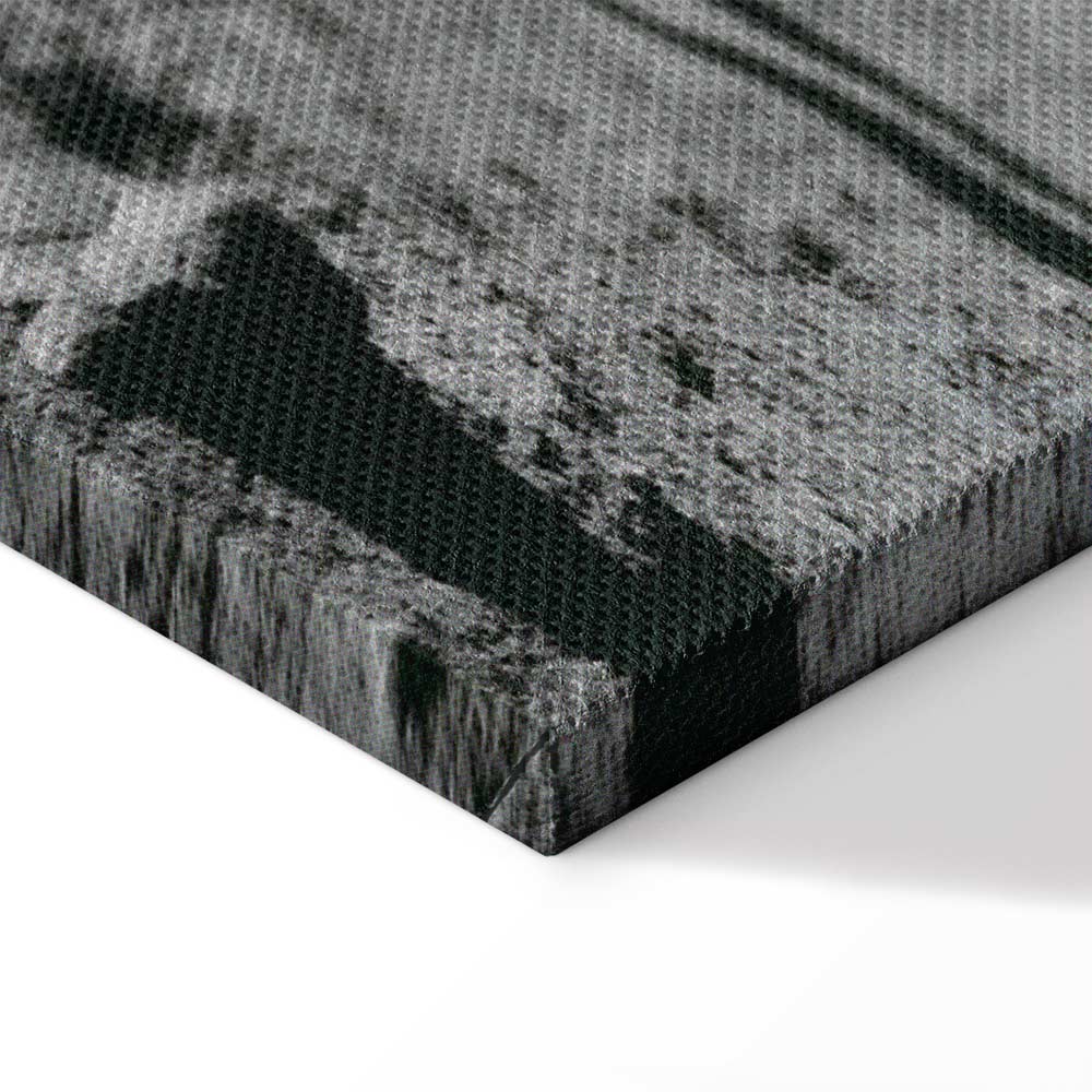 Moonlit People Cosmos Wide Canvas Print