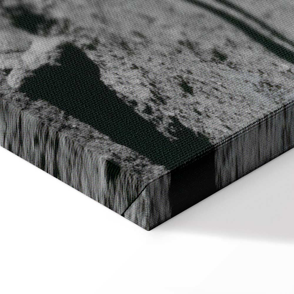 Moonlit People Cosmos Wide Canvas Print