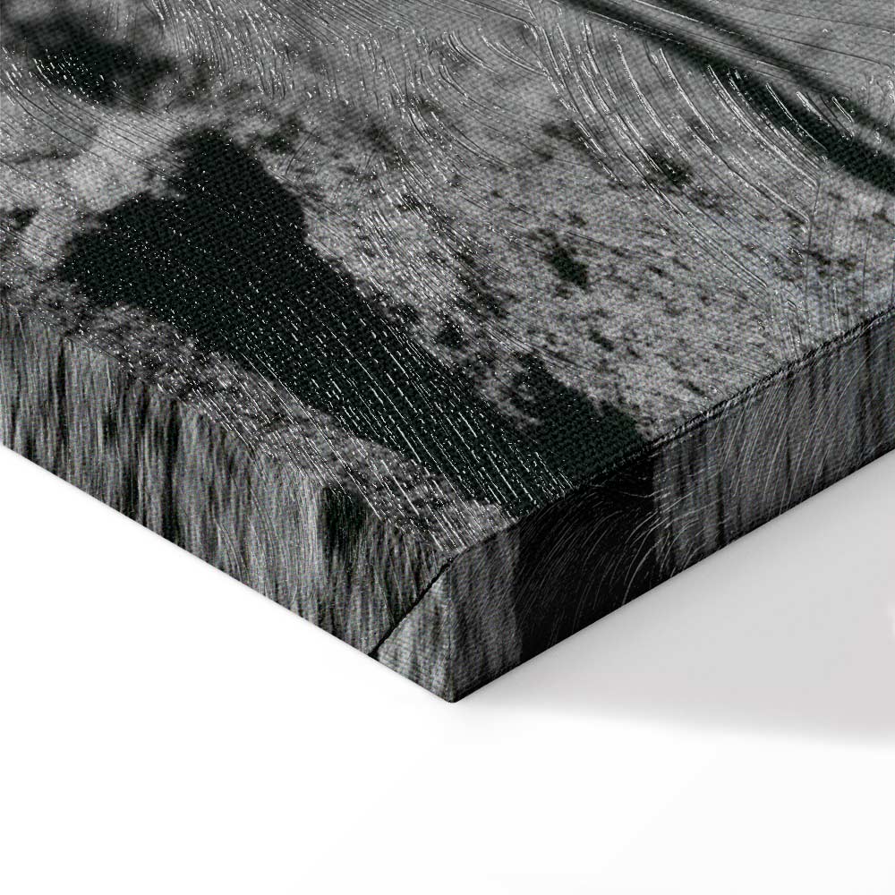 Moonlit People Cosmos Wide Canvas Print