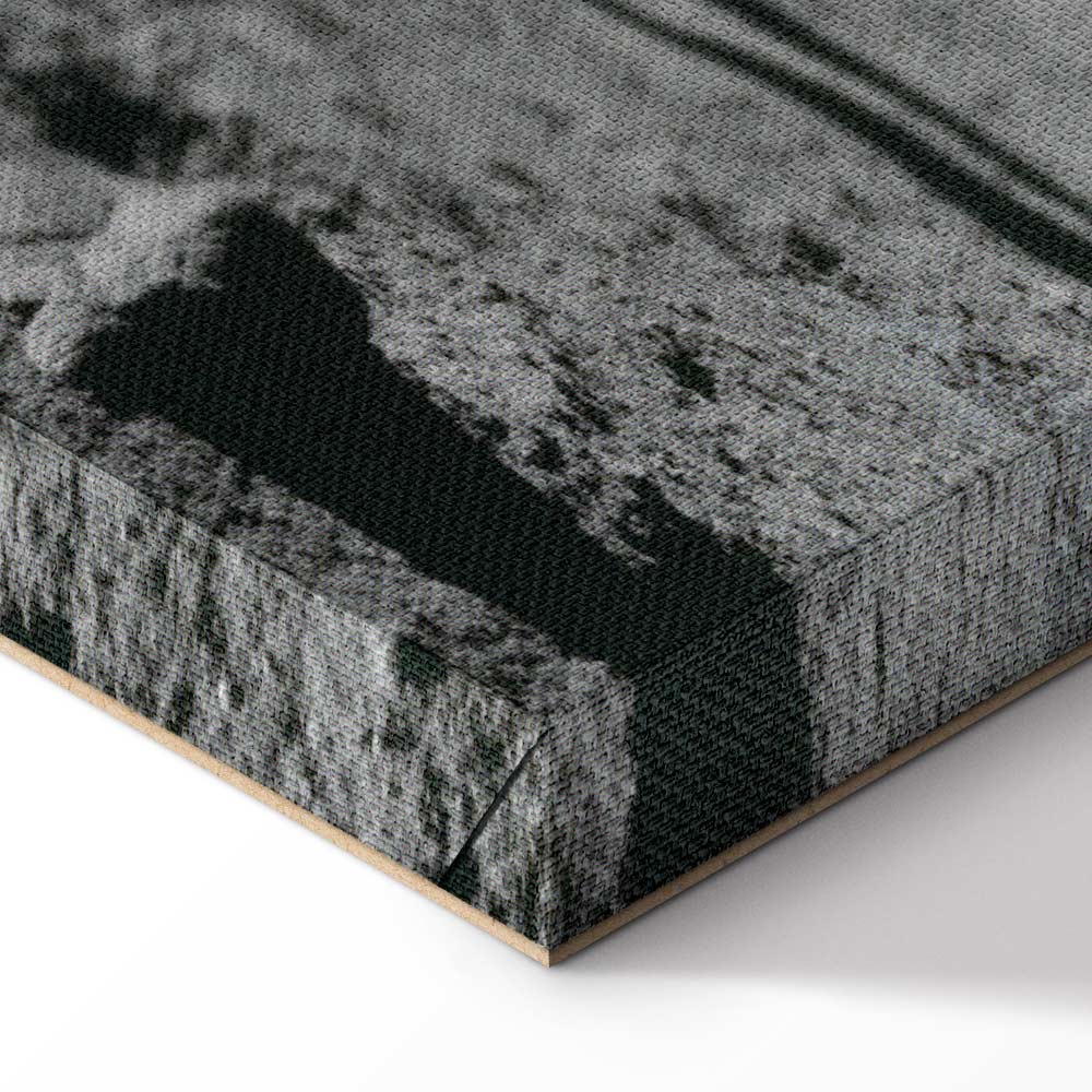 Moonlit People Cosmos Wide Canvas Print