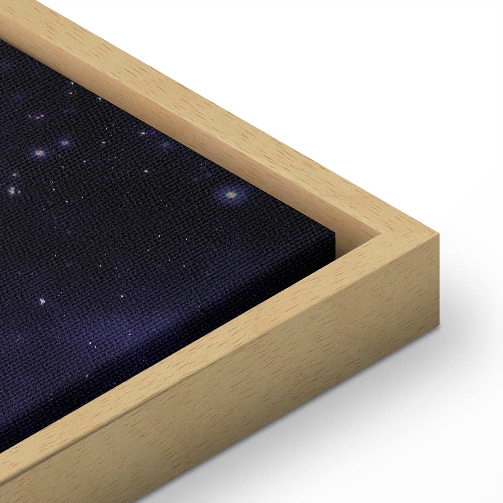 Cosmic Encounter Fantasy Canvas Print