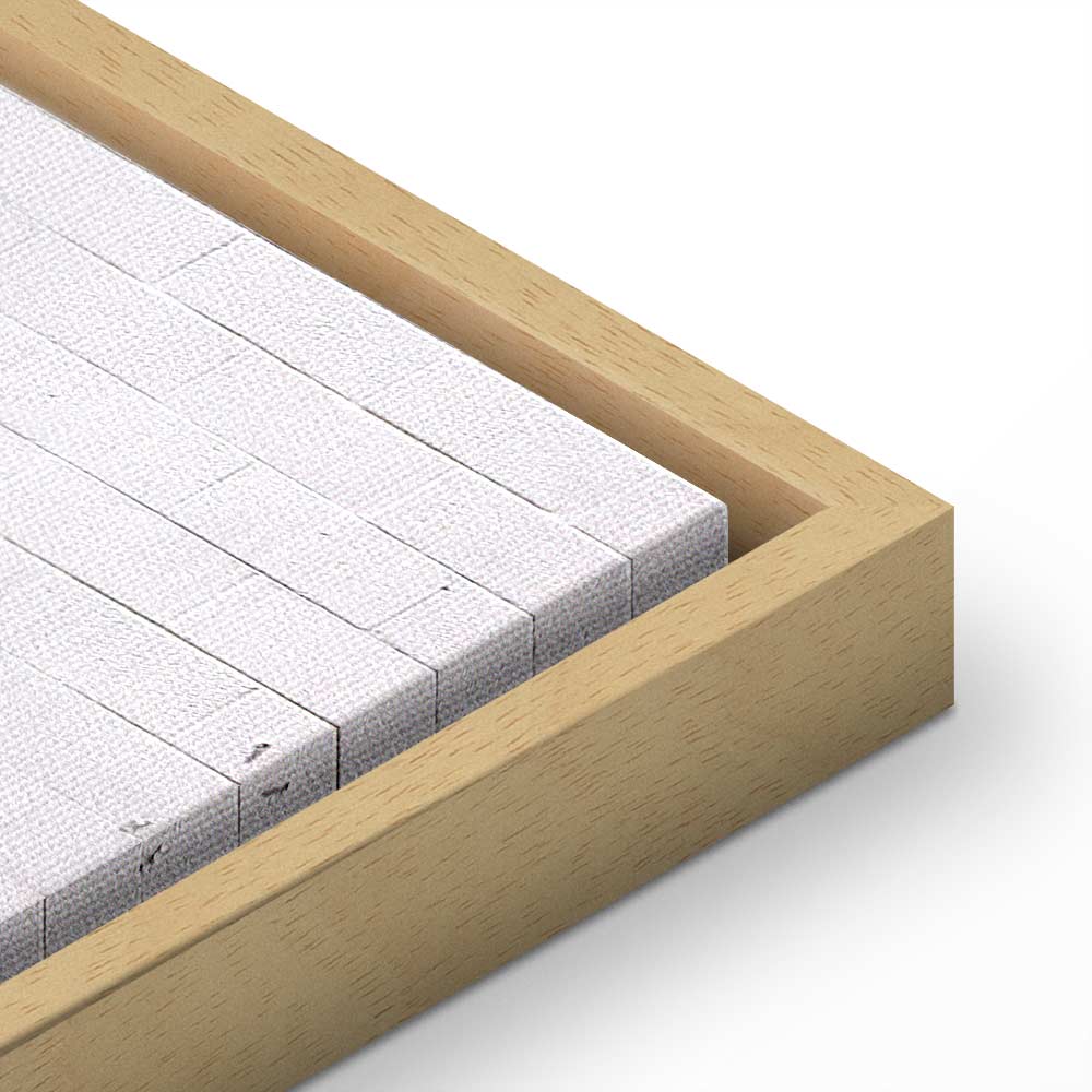 Flying Fridge Graffiti Canvas Print