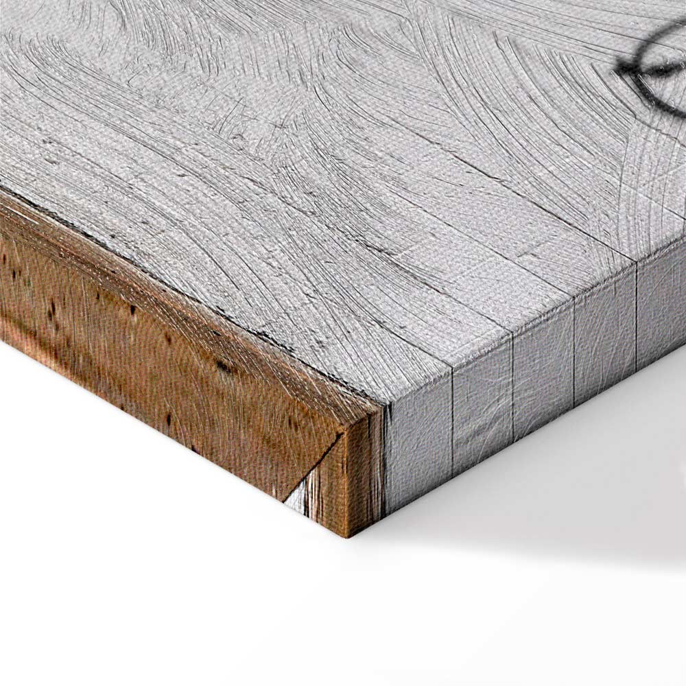 Flying Fridge Graffiti Canvas Print