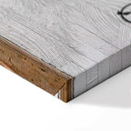 Flying Fridge Graffiti Canvas Print