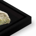 Abstract Audience Portrait Fantasy Canvas Print