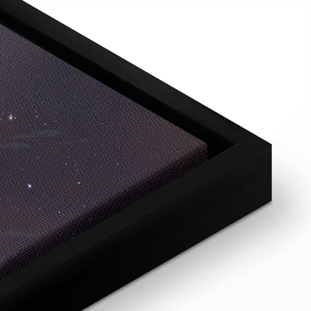 Star Explorer Moon Cosmos Canvas Print