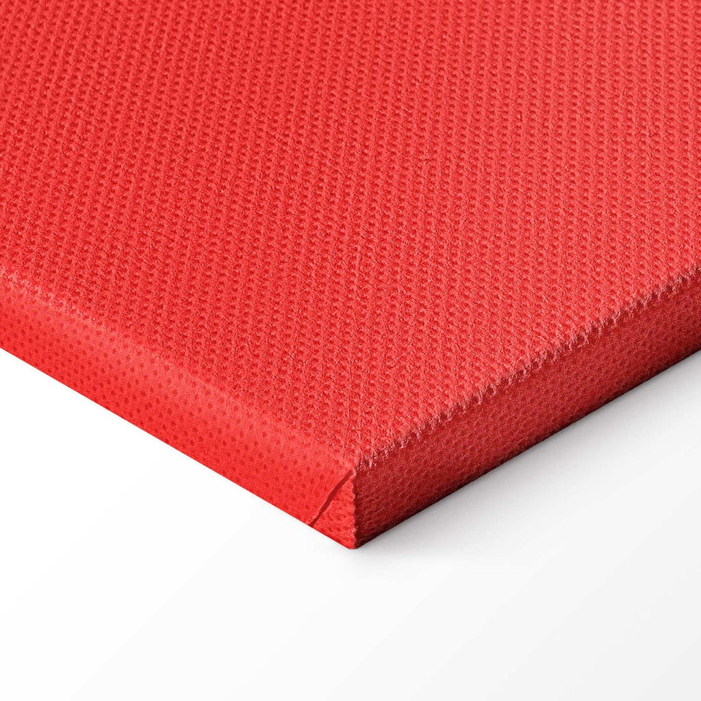 French Flag Torch Sports Canvas Print