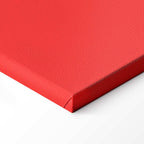 French Flag Torch Sports Canvas Print