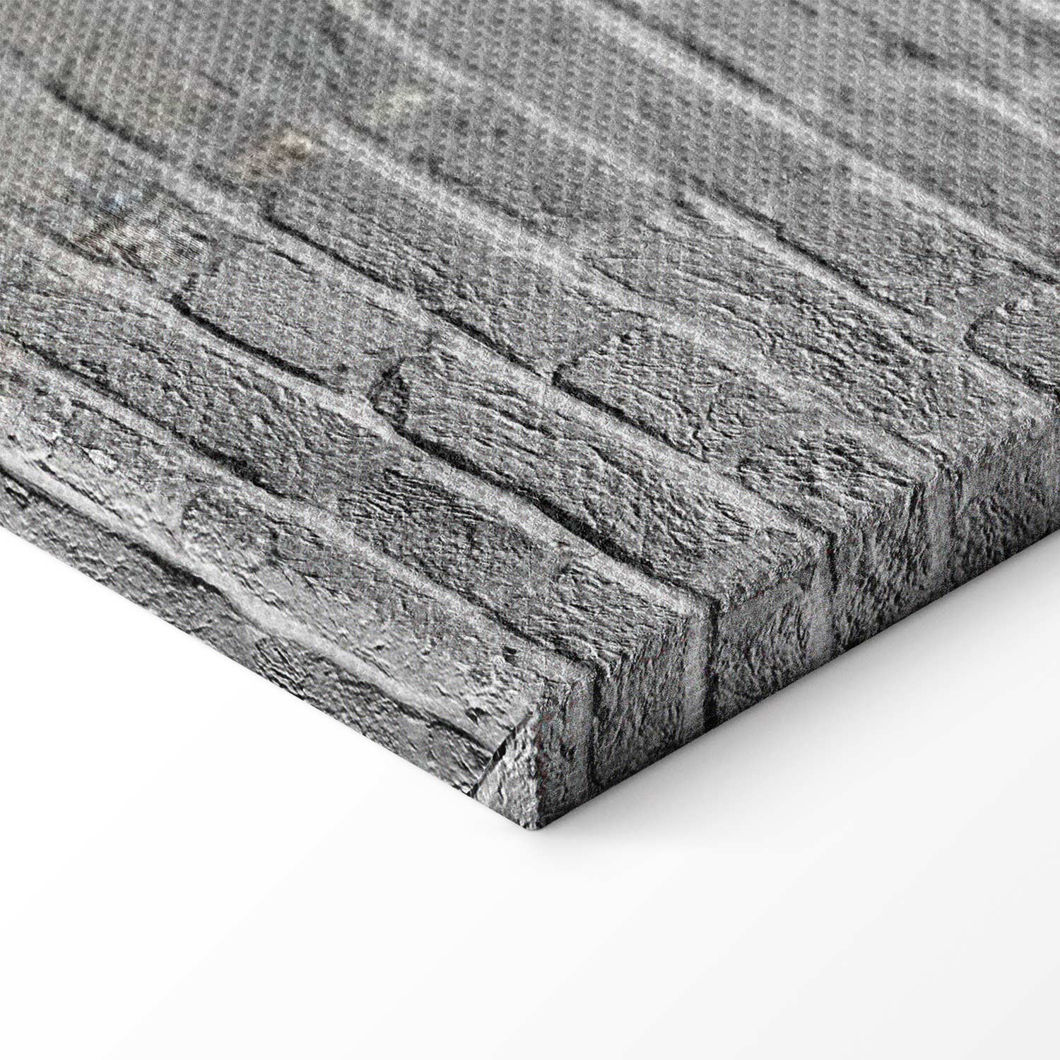 Super Mario Mushroom Cop Graffiti Canvas Print