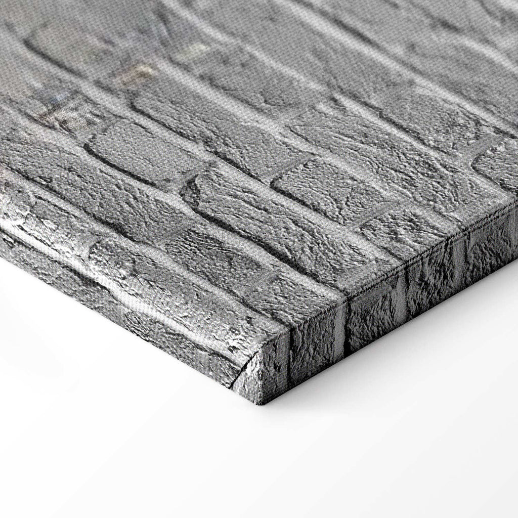 Super Mario Mushroom Cop Graffiti Canvas Print