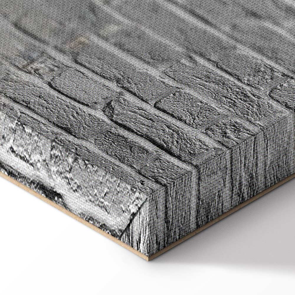 Super Mario Mushroom Cop Graffiti Canvas Print