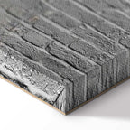 Super Mario Mushroom Cop Graffiti Canvas Print