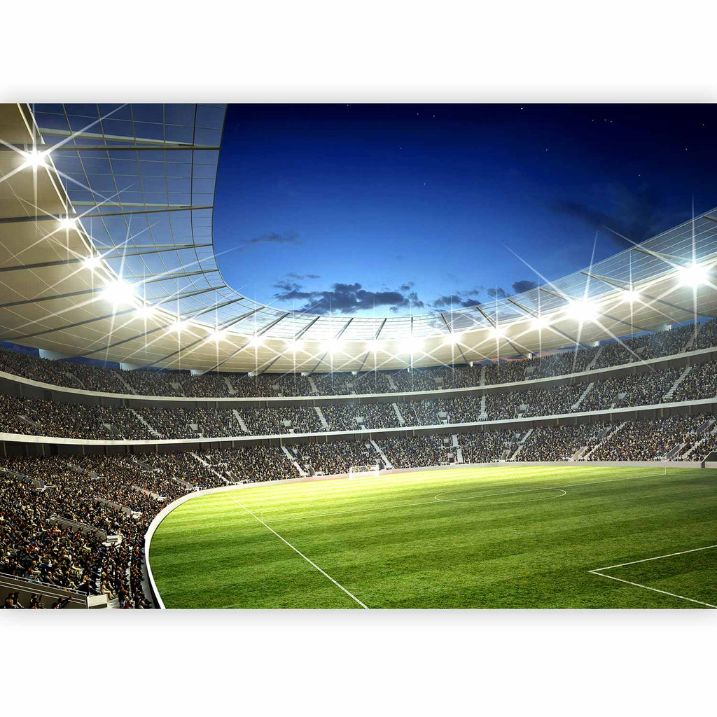 Illuminated Football Pitch Stadium Wall Mural