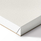 Badminton Shuttlecock Orange Circle Abstract Canvas Print