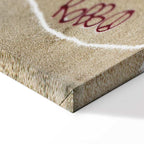 Banksy Plane Red Graffiti Canvas Print