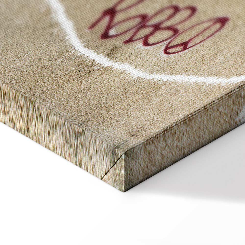 Banksy Plane Red Graffiti Canvas Print