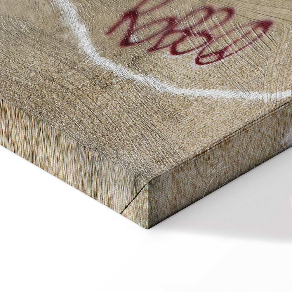 Banksy Plane Red Graffiti Canvas Print