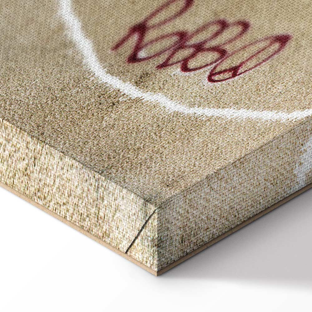 Banksy Plane Red Graffiti Canvas Print