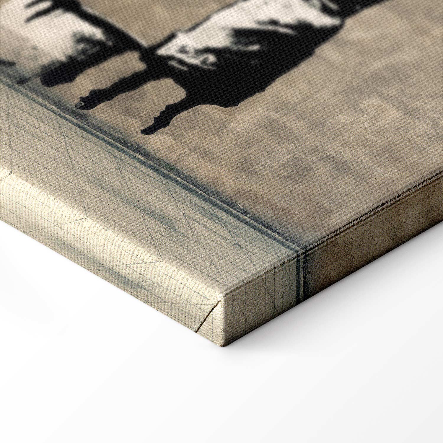 Banksy Washing Zebra Street Art Canvas Print