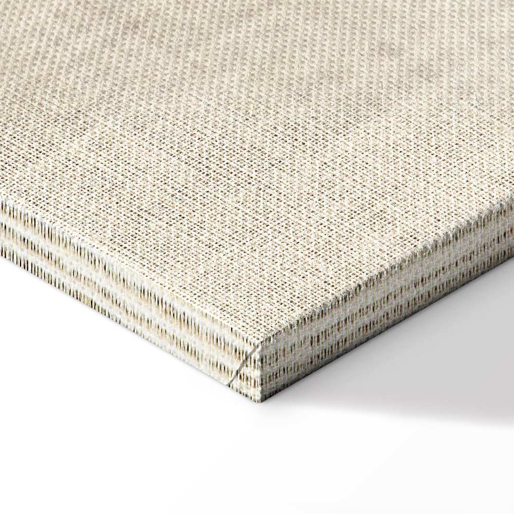 Vintage Bicycle Retro Canvas Print