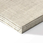 Vintage Bicycle Retro Canvas Print